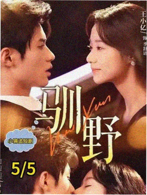 一部影院刑侦悬疑电视剧暗涌